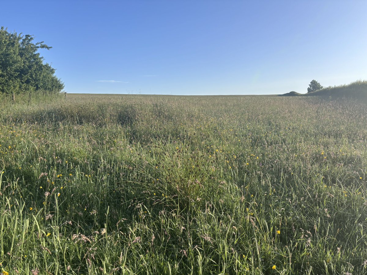 Today’s early swim appreciating the day after torrential rain day for a swim. #lindeanloch #lochswimming #lovewhereyoulive