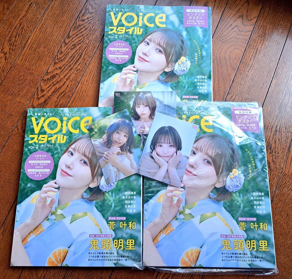 VOICEスタイルvol.2 櫻井陽菜 限定ブロマイド ゲーマーズ 非売品