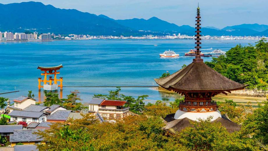 シックな大島に赤い裏地！情熱的なコート^_^ THE NORTH FACE PURPLE LABEL 〉別注ステンカラーコート！人気の秘密と