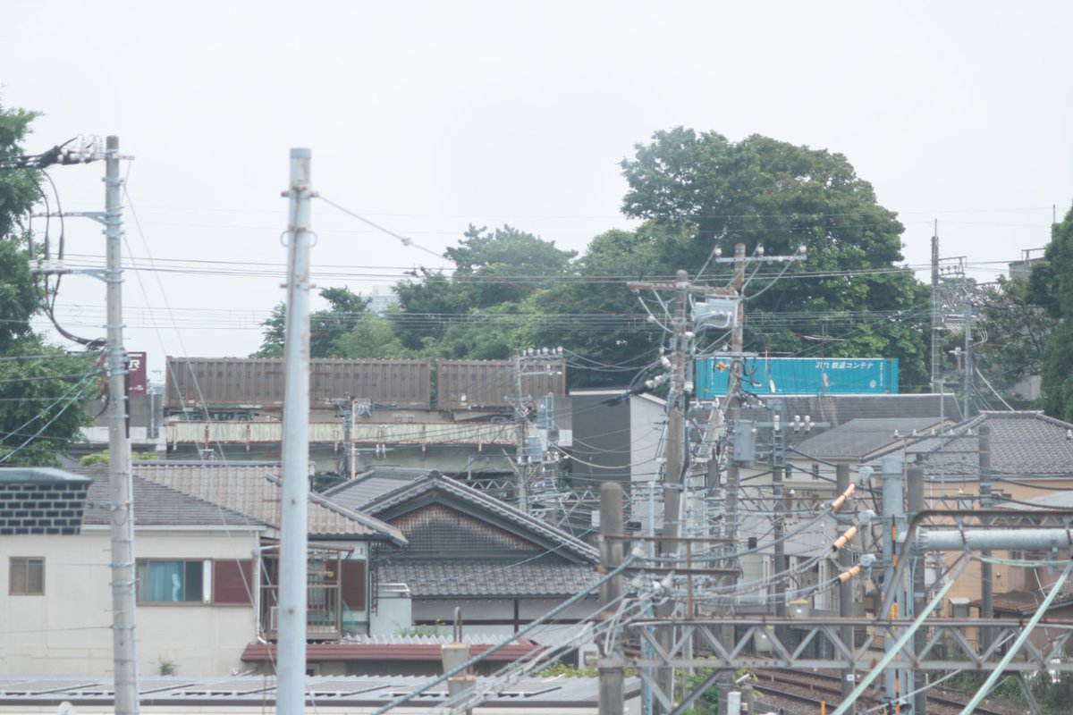 ms_ogiyan01's tweet photo. 鉄道サークルみぞの青春団のおぎやんです！
#鉄道模型
#鉄道むすめ
#鉄道写真
#撮り鉄速報
#撮り鉄は犯罪者
#白上フブキ
#フブみこめっとさん
#みこめっと
#SUISEIARCHIVES
#星街すいせい
#すこん部
#猫又おかゆ
#兎田ぺこら
#轟はじめ
#スバ友
#ときのそら
#宝鐘マリン
#湊あくあ
#さくらみこ https://t.co/kg38nVyvlW