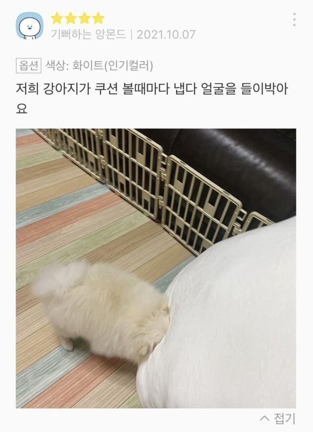 챱 (@lovx11_very) on Twitter photo 