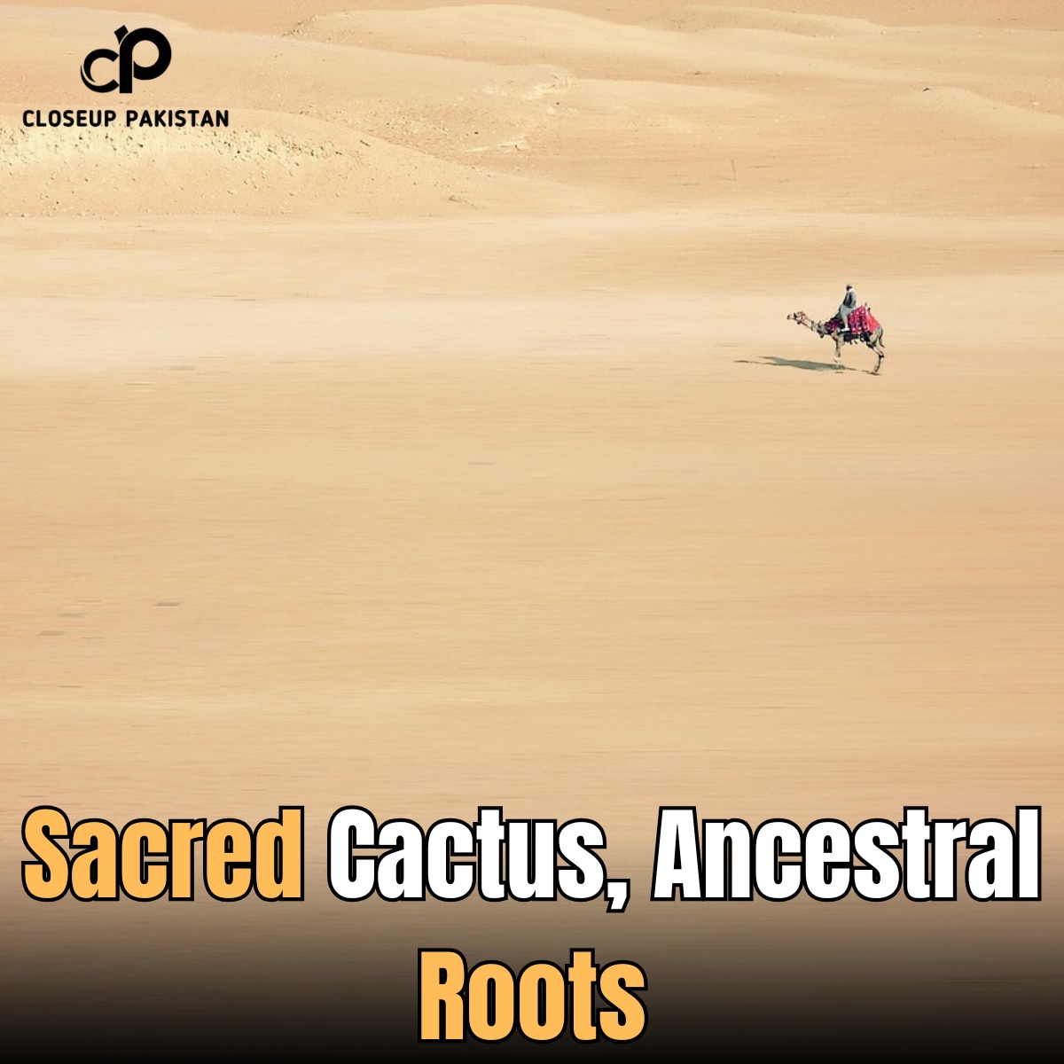 CloseupPak's tweet image. Reviving tradition under the desert sun. The Tohono O’odham Nation honors their roots through the sacred saguaro fruit harvest—blending culture, spirit, and land.
#saguaroharvest #TohonoOodham #IndigenousTraditions
Read more: closeup.pk/2025/07/03/toh…