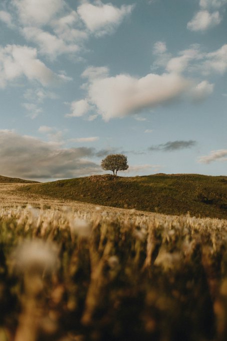 Photography by Filip Kvasnak