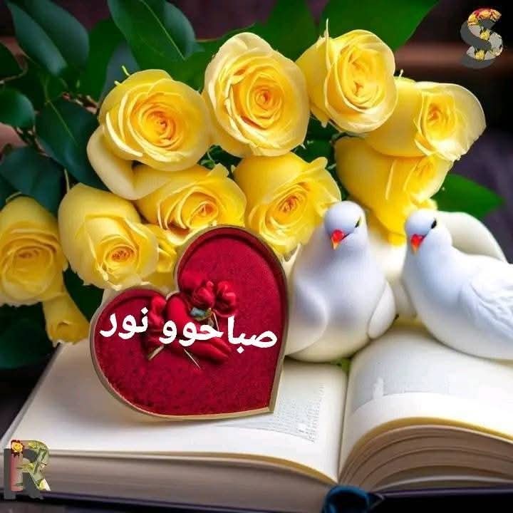 صباح الفل والياسمين والورد والعنبر بكل🌹 عطورة على أحلى وأجمل متابعين ❤️🌹💙 
#صباح_الخير_والسعاده_للجميع 🌹
❤️#حسين