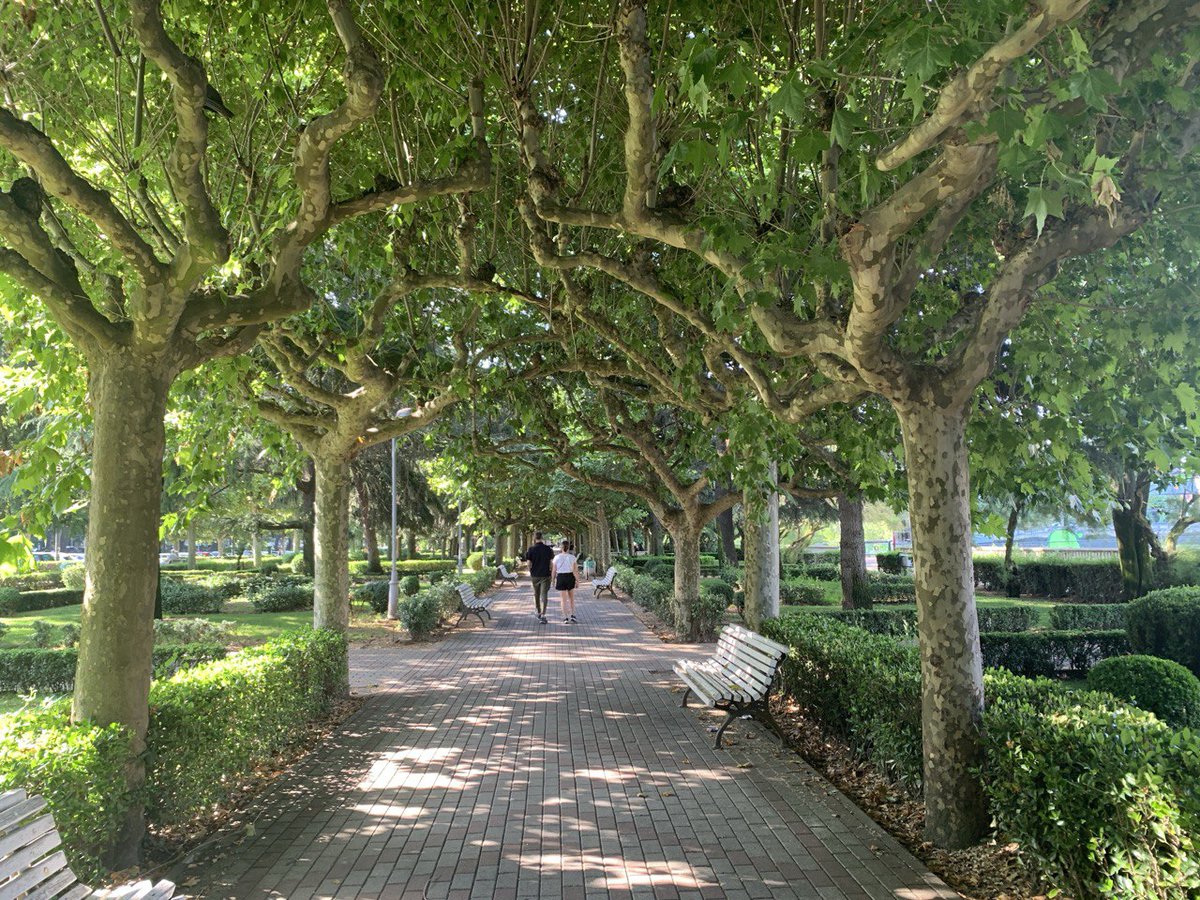 Desde la estación os traemos nuestra última imagen de la jornada. #Buenasnoches🌏 desde #LeónEsp
#Felizdescanso💫

#AyuntamientodeLeón #LeónEspaña