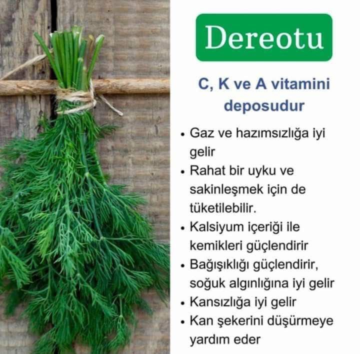 Bilalcan (@wcannn) on Twitter photo 