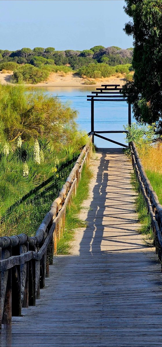 A los güenos días 🌊😌💙