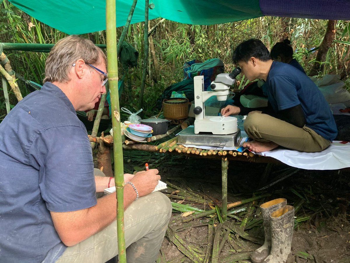 WR_LaoPDR's tweet image. Strong #HealthSecurity in 🇱🇦 requires preparedness, capabilities & multisectoral collaboration - the health sector can't do this alone
Great to see a wide range of Ministry Depts and stakeholders starting work on the new 🇱🇦 2026-2030 National Action Plan for Health Security