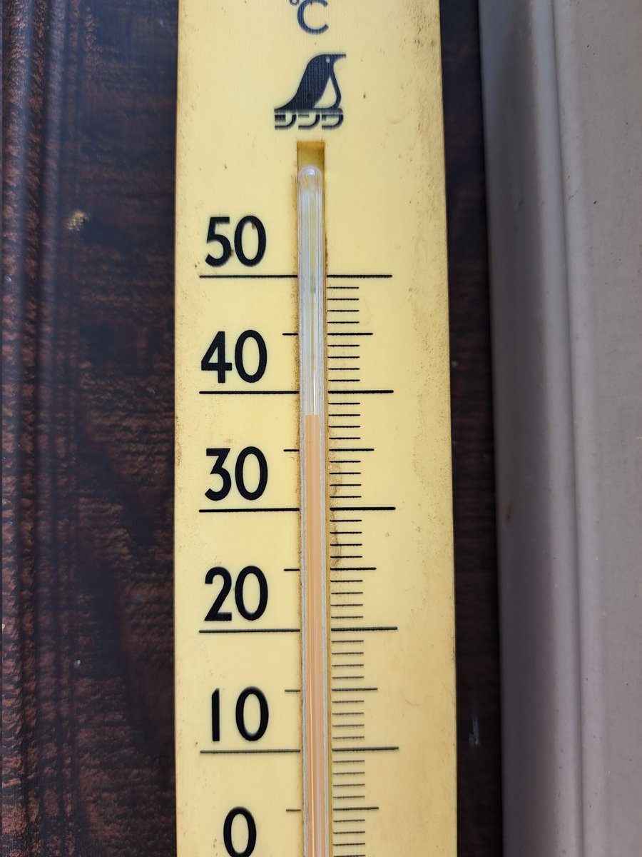 MitsuyaKohno's tweet image. ただただ暑い🔥☀️

気温38℃、水温30℃
人間はかなり堪えてますが、はすみの鯉はすこぶる元気！😆👍️❤️