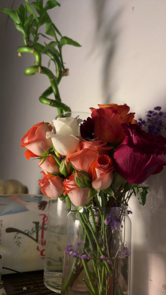 صباح الحمد على الصحة 🤍🌞
على النبض اللي ما توقف، والعافية اللي نغفل عنها، والقدرة على الوقوف والسير والتنفس دون ألم 🌿
الحمد لله على أجساد تعمل بصمت، وقلوب تنبض رغم التعب، ونِعم لا تُعد ولا تُحصى.

اللهم كما منحتنا الصحة، فزدنا شكرًا، وادمها علينا وعلى من نحبّ 🙏🏻✨