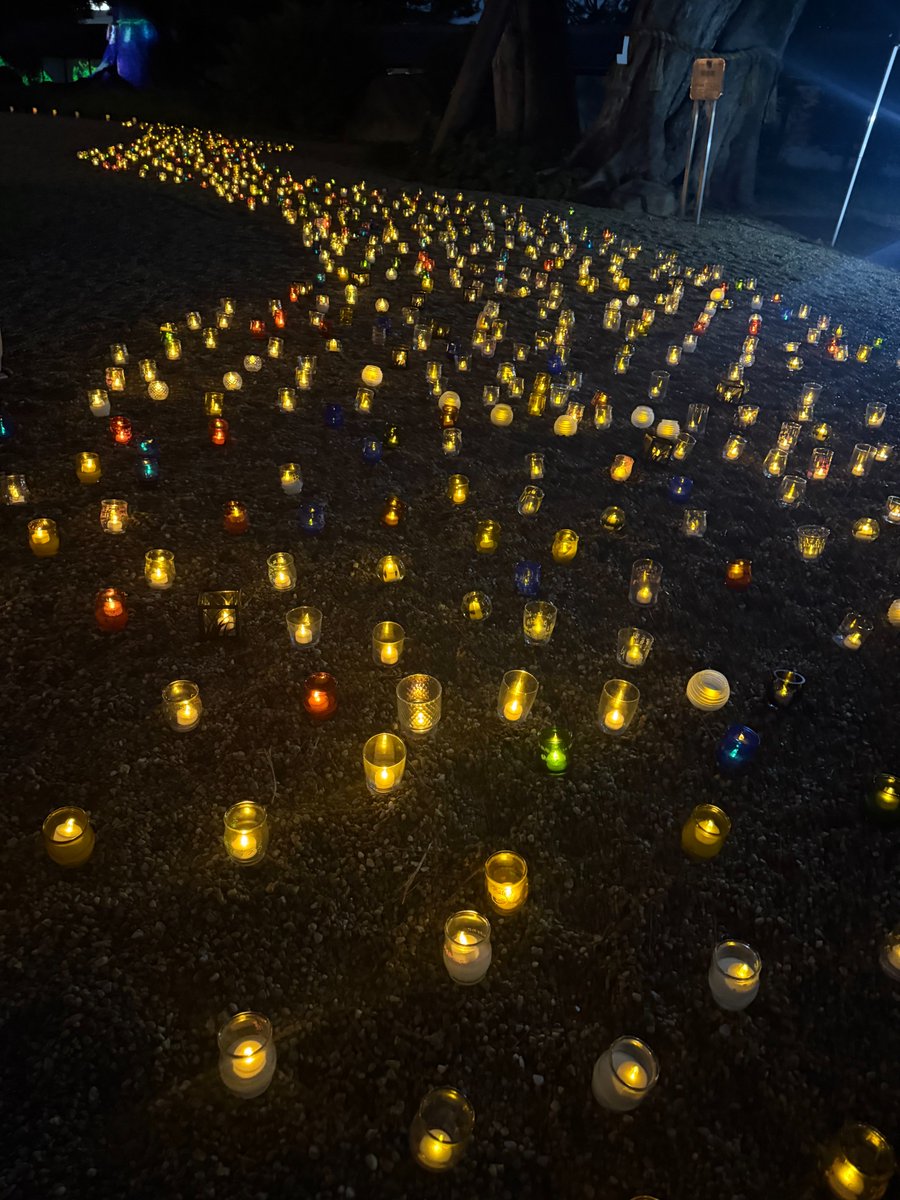 ✨本日より開催✨ ⛩住吉大社 七夕祭り⛩ 願いを込めた「天の川LED