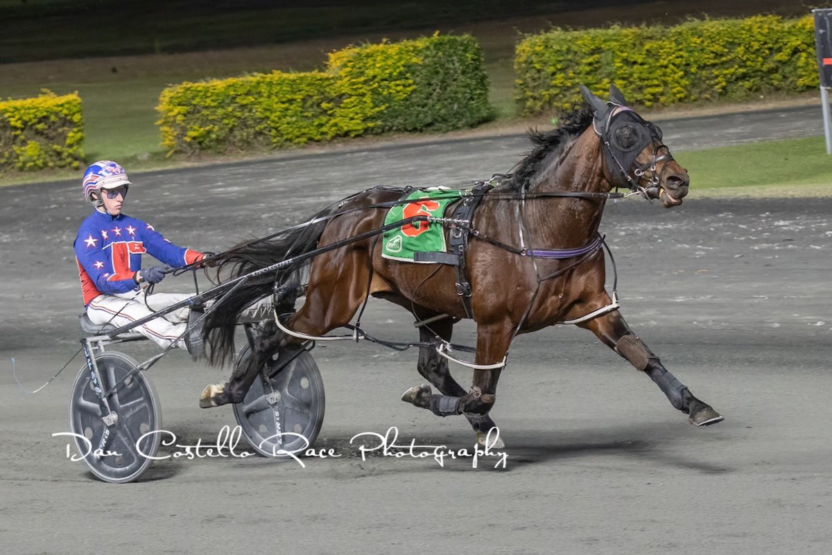 Dan Costello (@danracingwrap) on Twitter photo Sinabun & <a href="/garrard_angus/">Angus Garrard</a> race clear to win the last for the day <a href="/redcliffe_hrc/">Redcliffe Harness Racing Club</a> for trainer <a href="/Darrenweeks10/">Darren weeks</a> Sinabun & <a href="/garrard_angus/">Angus Garrard</a> race clear to win the last for the day <a href="/redcliffe_hrc/">Redcliffe Harness Racing Club</a> for trainer <a href="/Darrenweeks10/">Darren weeks</a>