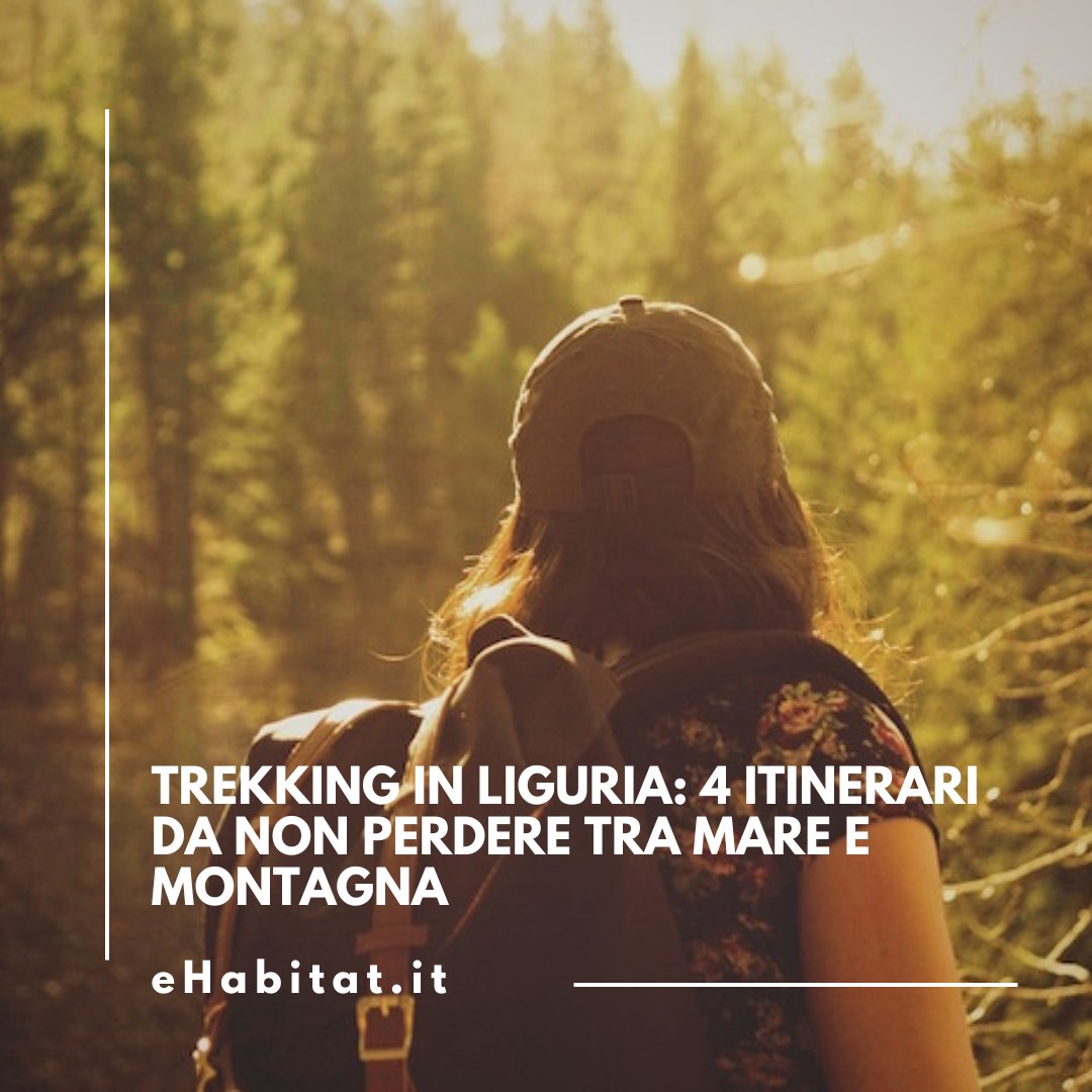 🌄 Cammini vista mare, borghi sospesi e natura da fiaba: la #Liguria è un paradiso per chi ama il #trekking!

👉 Scopri gli itinerari📲

ehabitat.it/2017/07/18/tre…
.
.
.
#TrekkingLiguria #CinqueTerre #Portofino #Triora #Bergeggi #Natura #ViaggiLenti