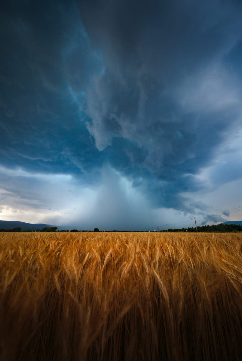 Ha llegado un punto en mi fotografía de tormenta que empiezo a buscar, no solo capturar el instante, sino componer para lograr fotografías más artísticas.

¡Si te gusta, dale RT!  ;)