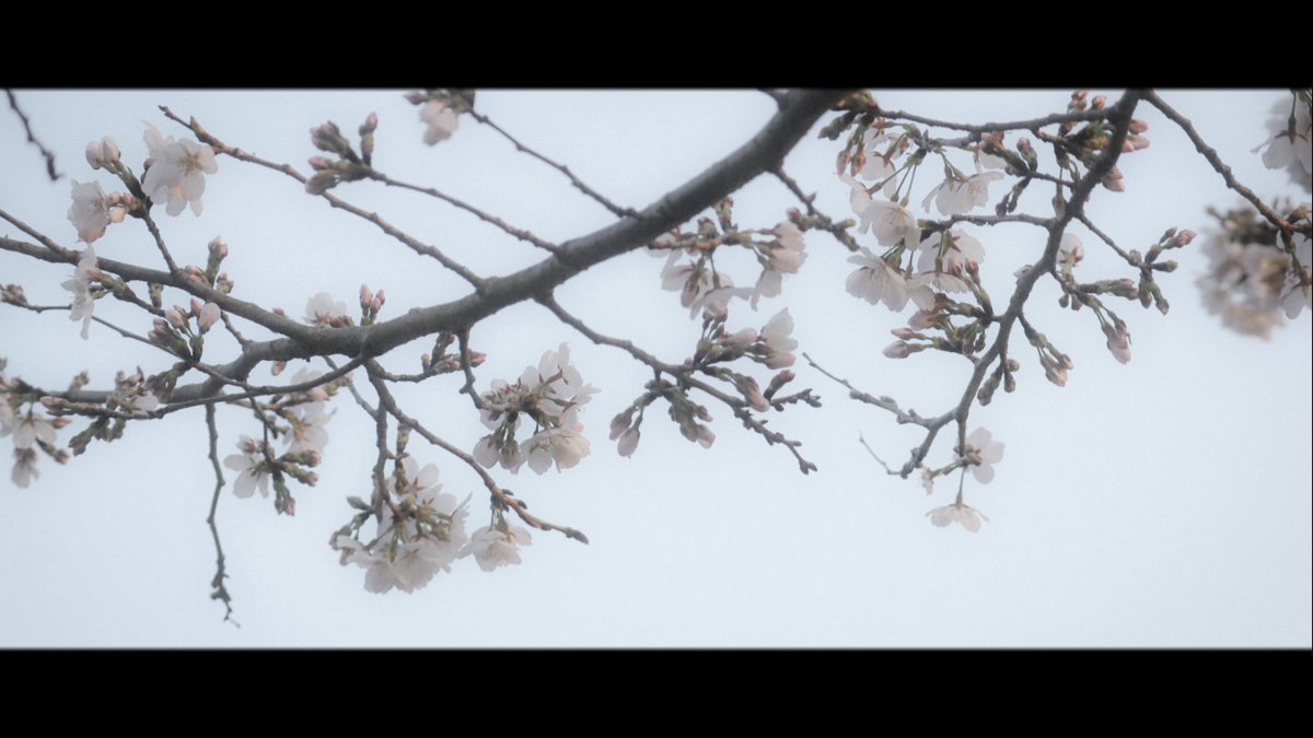 atmarkaoi's tweet image. 特に2枚目がおきにいり
#2025年自分が選ぶ今年上半期の４枚