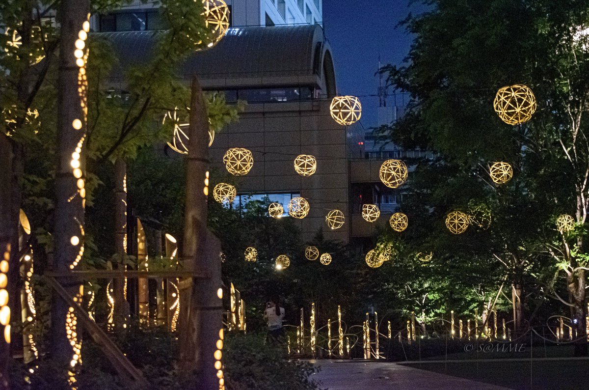 竹の燈に誘われて

#CHIKAKEN   #竹あかり