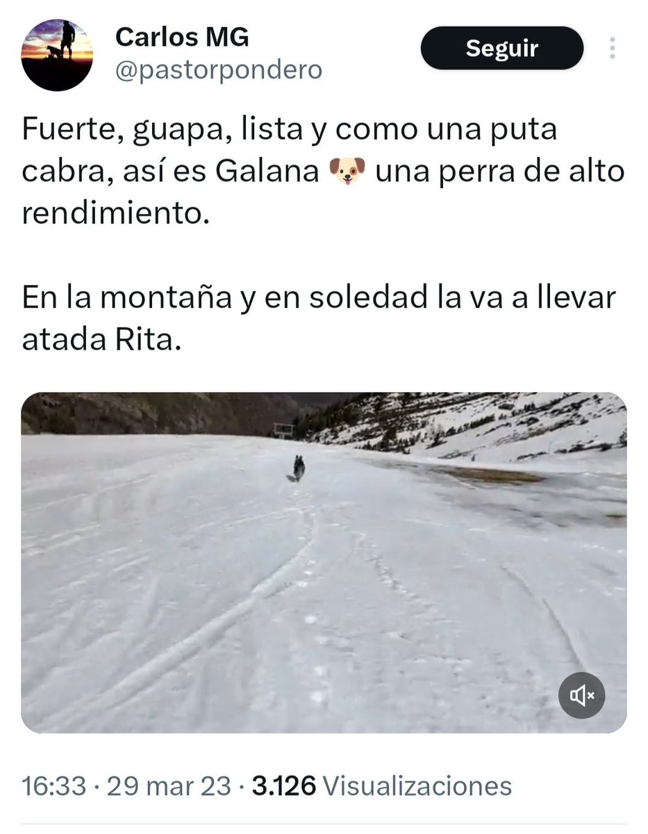 JulioVias's tweet photo. @pastorpondero @Alberto16611155 @PN_Guadarrama @AAFF_CCOO_CM @UGT_CAF_MADRID @oapngob @Bachweg7 @ElGuadarramista @pastorpondero, lo que no queda muy bien en redes sociales es que hagas público lo mucho que te gusta saltarte la normativa del PRUG llevando suelto a tu perro, y a la vez exijas que la administración del #PNGuadarrama la cumpla por su parte.
Así no harás carrera como influencer. https://t.co/EpW3hhg2KV