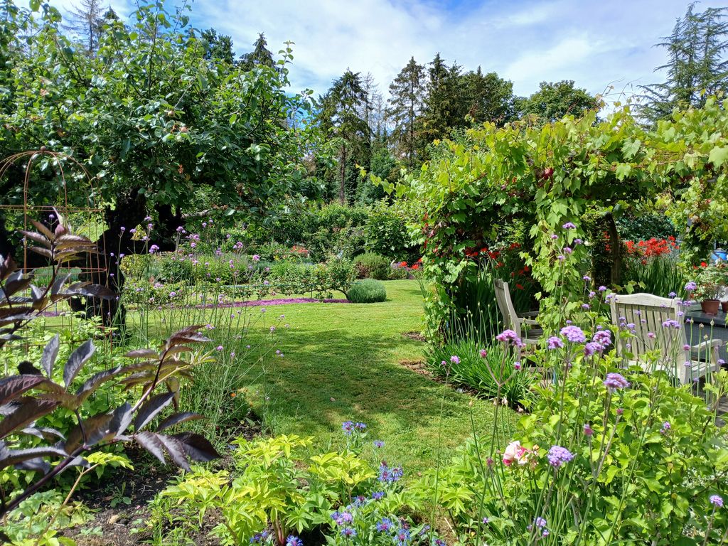 WarksNGS's tweet photo. Ten wonderful gardens open this weekend in Tysoe - plenty to take inspiration from!

Tysoe Gardens, CV35 0TR
Sat 5 &amp; Sun 6 Jul, 2- 6
Admission £7, children free
Refreshments in the Village Hall
Parking at the recreation ground, CV35 0FF

https://t.co/FTlaywkTUs https://t.co/Uf2I6lCokf