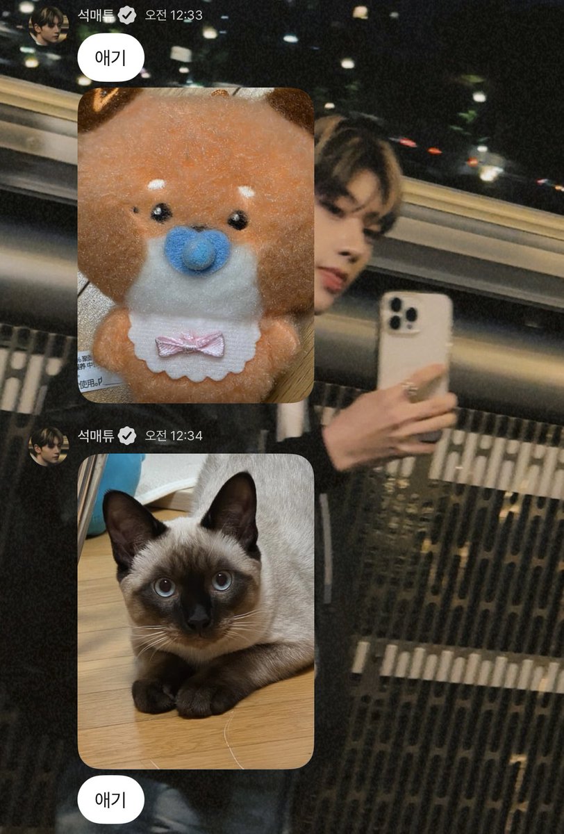 ghdightl's tweet photo. 애기 https://t.co/AkybRk10Ib