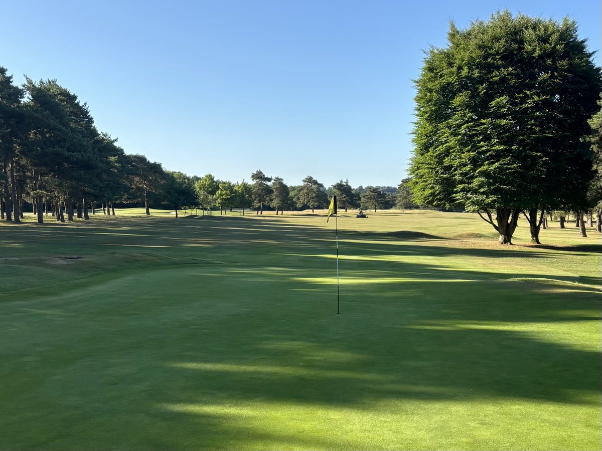 Greens look fantastic