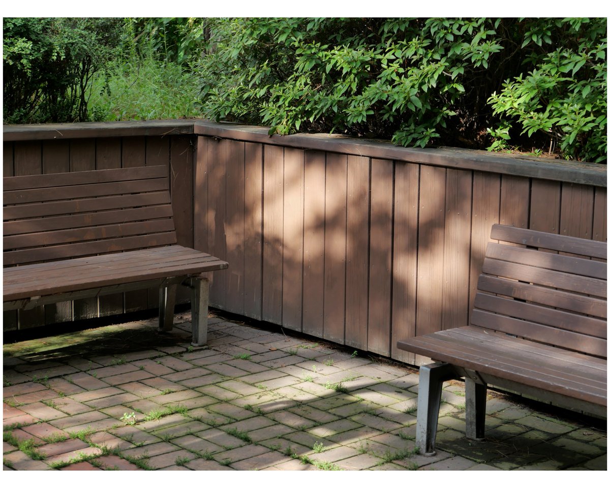 yeouiok's tweet image. 머무르고 싶은 자리.

A place you’d want to stay.

#머무르고싶은자리 #dailysnap #Leica #라이카dlux8 #LeicaLooksSTD #seoul