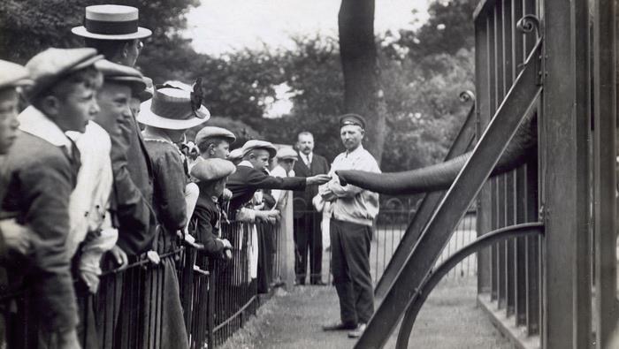 Wim Daniëls tweet media