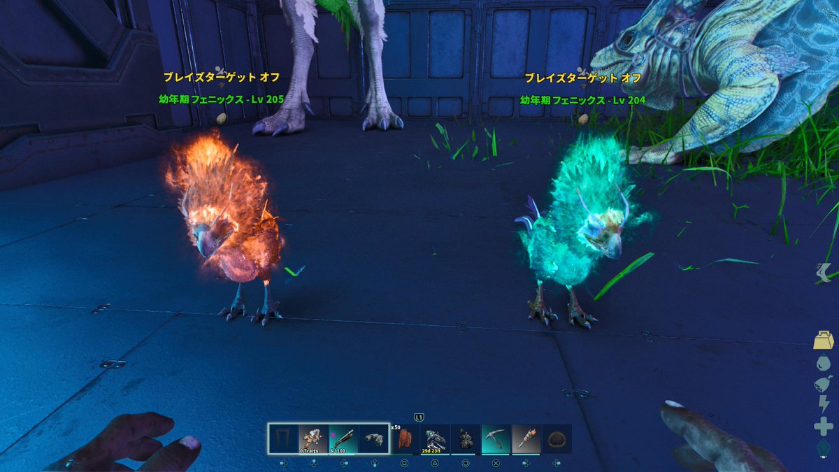 アンモないと tweet media