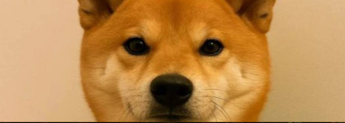 $invest TG

Telegram:t.me/DogInVest_Sol

CA:55KrNjWHrkgxCzTLvcgaKYDxaopuxZK8vETi1CJNpump

#Crypto #Solana #Sol