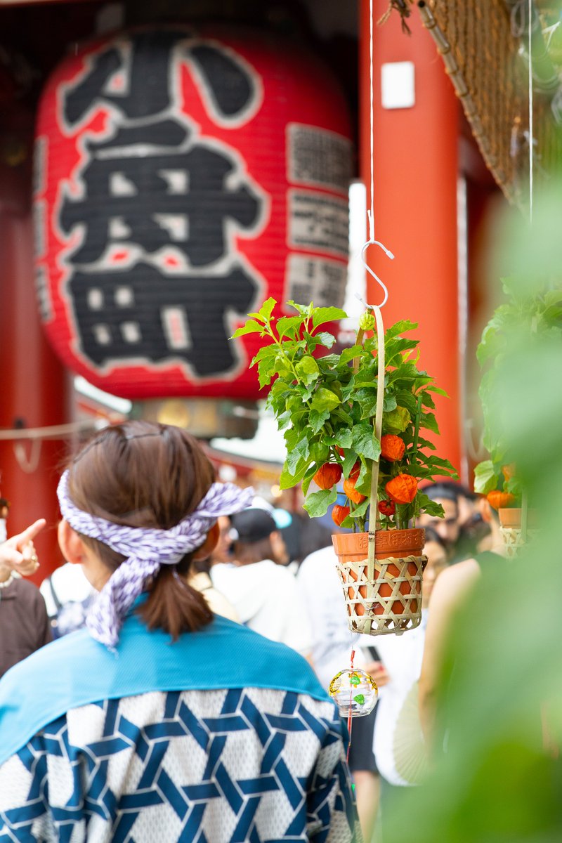 sensouji_O's tweet photo. #四万六千日
7月9日(水)・10日(木)
#ほおずき市 #浅草寺 https://t.co/sJM2rSRNER