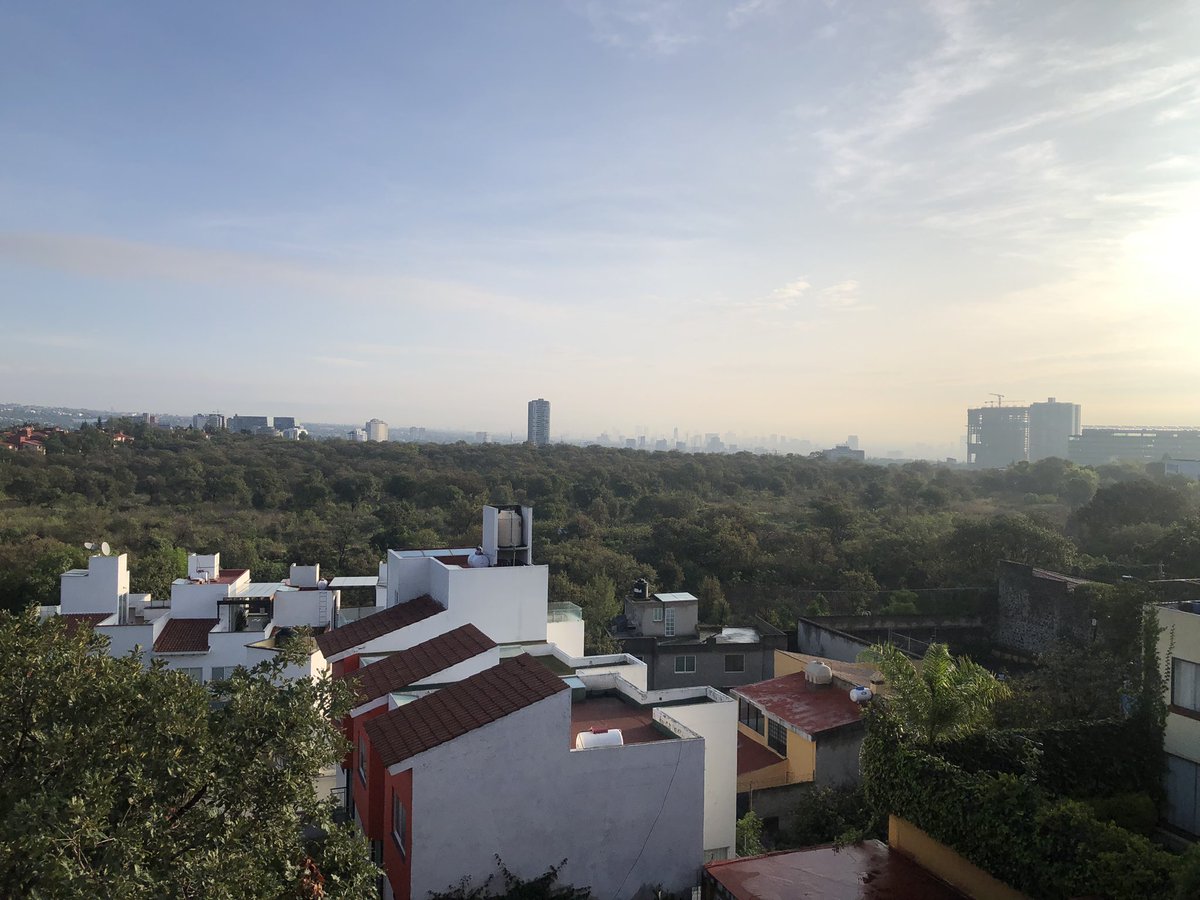 Te espero en casa, hogar, mis brazos, los tuyos, murió esa versión pasada, nació una nueva, capullos en soledad, te quiero conocer de nuevo