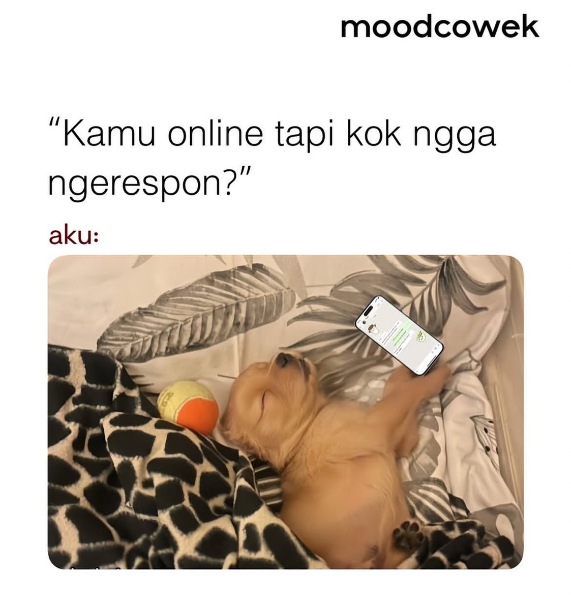 Teman Cerita (@teman_ceritaaa) on Twitter photo 