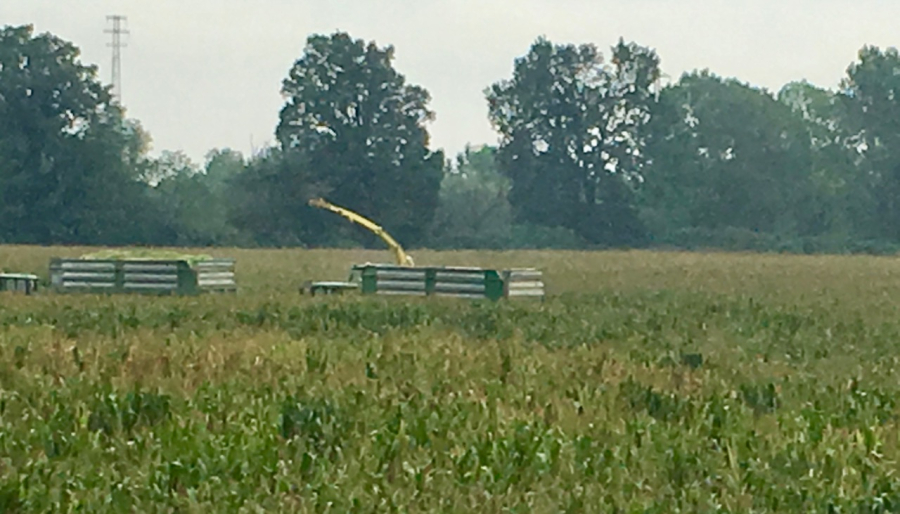 Tregua nei mercati agricoli: prime contrattazioni 2026 sulla soya, instabilità su mais, orzo e sottoprodotti in evidenza: quotidianoweb.it/economia/cerea… #MercatiAgricoli #Soya2026 #Mais #Orzo #Cruscami #Biomasse #Sottoprodotti #Agricoltura #PrezziCereali #FarinaSoya #CommoditiesAgricole