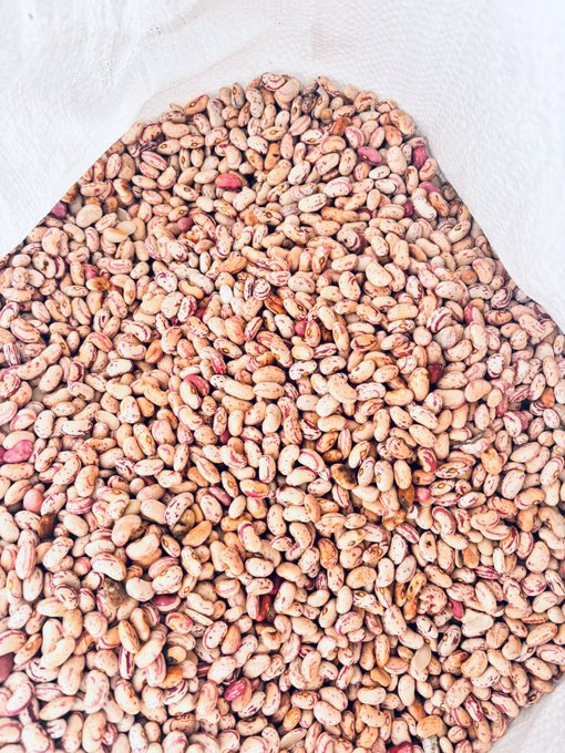 KasiEconomy's tweet photo. O.F Distribution is a sugar beans supplier offering competitive bulk pricing.

R1,400 for a 50kg bag

R26 per kilogram for bulk purchases

Agents are welcome

They operate in the Free State and Gauteng provinces.

For inquiries, customers can call or WhatsApp: 078 878 8758. https://t.co/wFkFoDNCKw