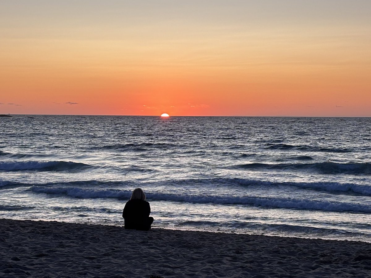 Anne-Louise Quinton tweet media