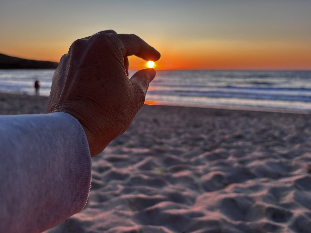 Anne-Louise Quinton tweet media