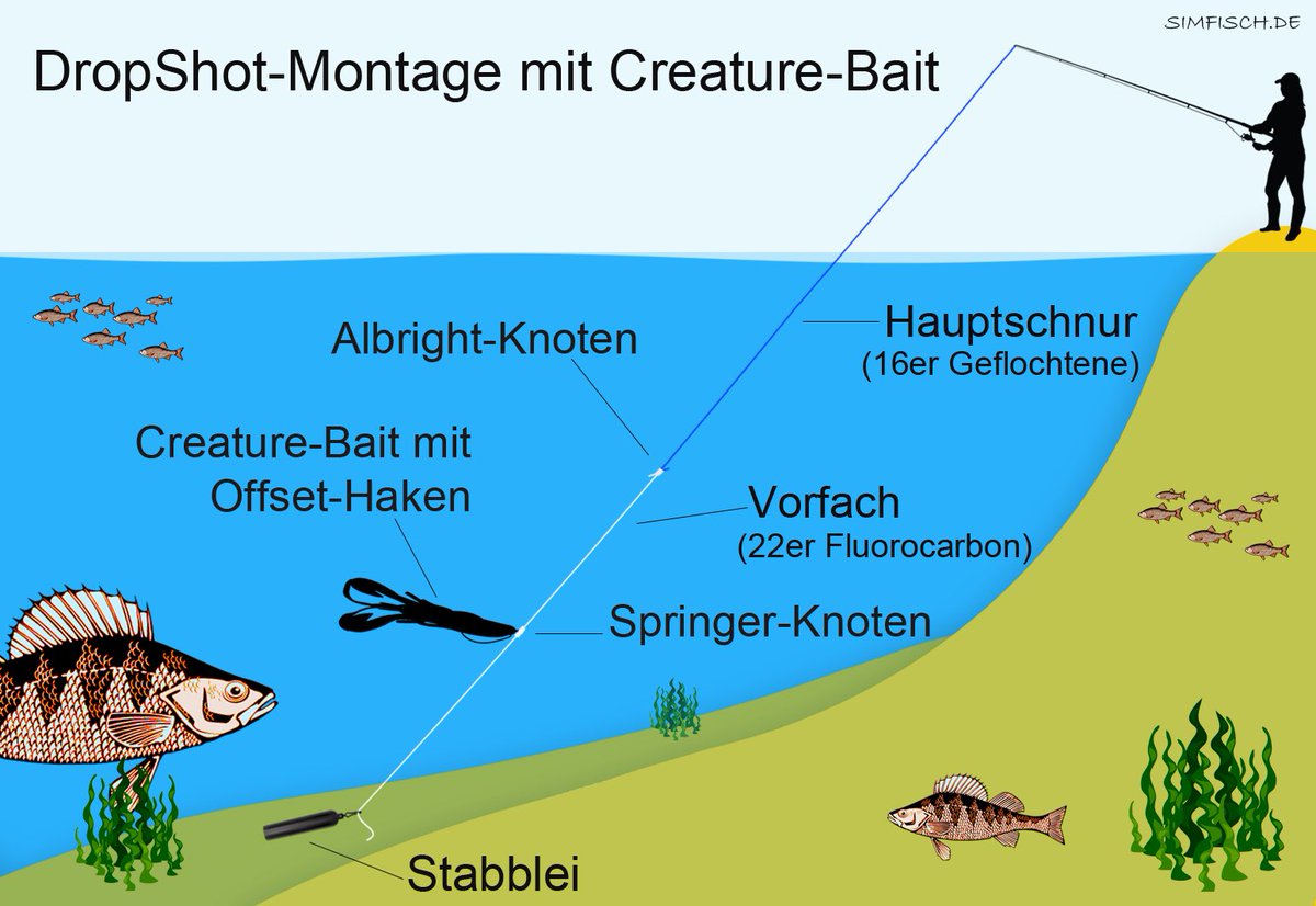 Angeln mit CreatureBaits: Diese Gummiköder vereinen Merkmale verschiedener Tiere und sind dadurch oft deutlich fängiger als klassische Fischimitationen. Mehr Infos:
simfisch.de/angeln-mit-cre…

#Angeln #Raubfischangeln #CreatureBaits #Kunstköder #AngelnTipps #FishingLife #Predator