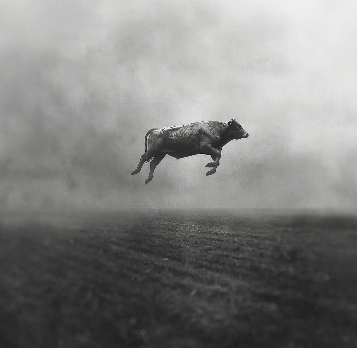 💻©️ Raúl Cantú.