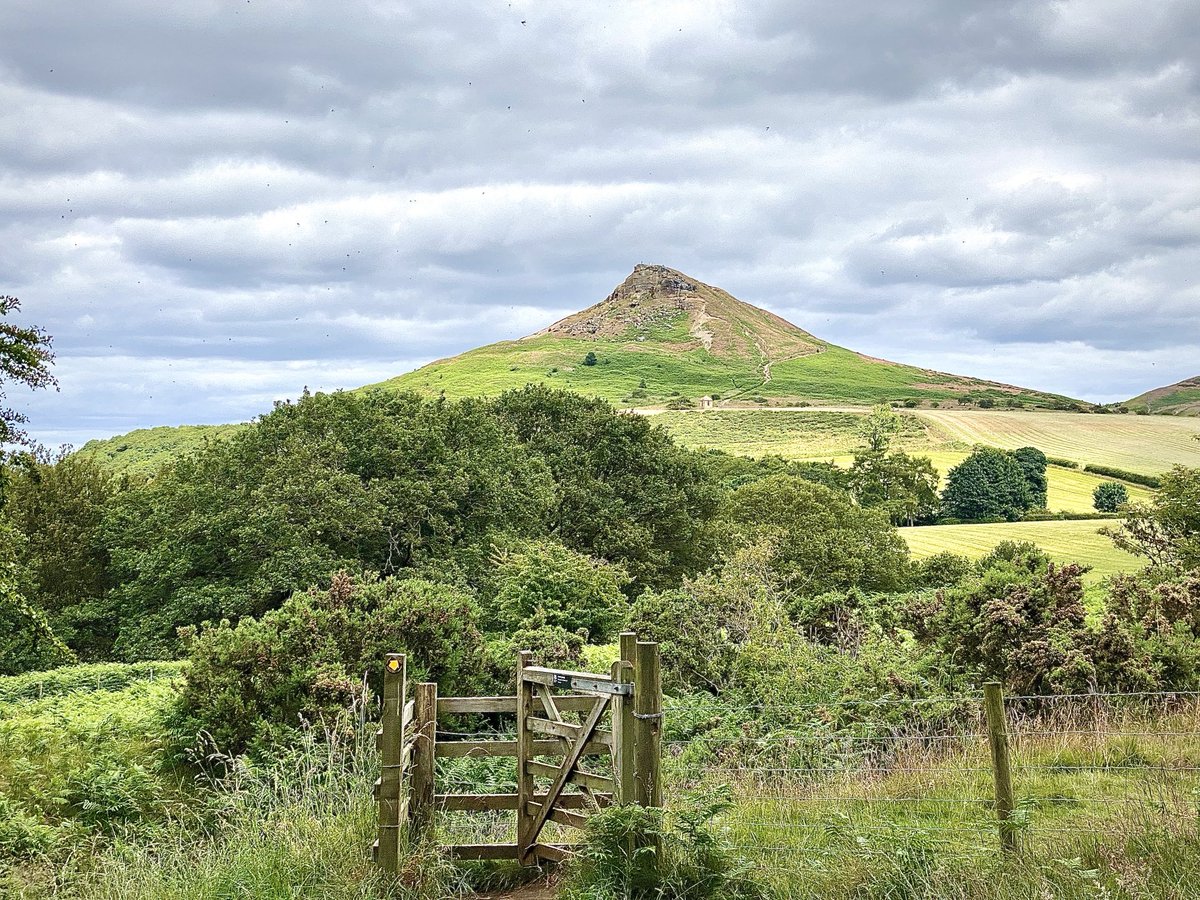 Nicky13Johnson's tweet image. Wishing you a happy Thursday from Roseberry Topping, North Yorkshire 馃槉