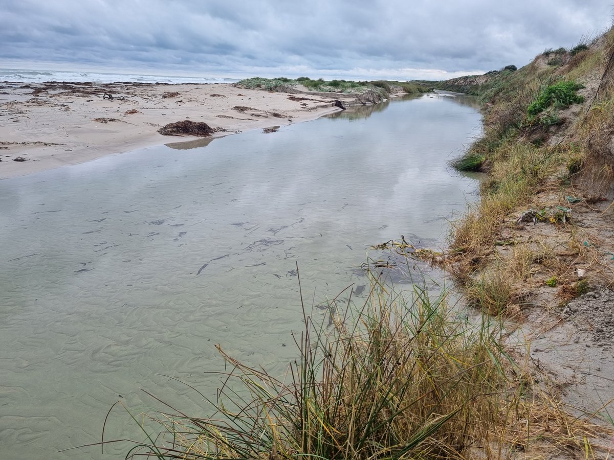 The latest Goyder Institute for Water Research e-newsletter is out now!
👉 Read more: mailchi.mp/goyderinstitut…

#WaterResearch #Collaboration #ClimateResilience #GoyderInstitute #Sustainability #SouthAustralia