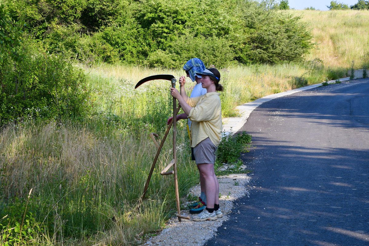 RNP_Romsilva's tweet photo. O tradiție pierdută în Scandinavia – cositul manual – trăiește în România 🇷🇴. Vizitatori nordici au venit în Parcul Național Cheile Nerei – Beușnița să învețe și să sprijine păstrarea ei.
#cositmanual #CheileNerei #WildRomania #UNESCO #Tradiții https://t.co/K1vWwY8uar