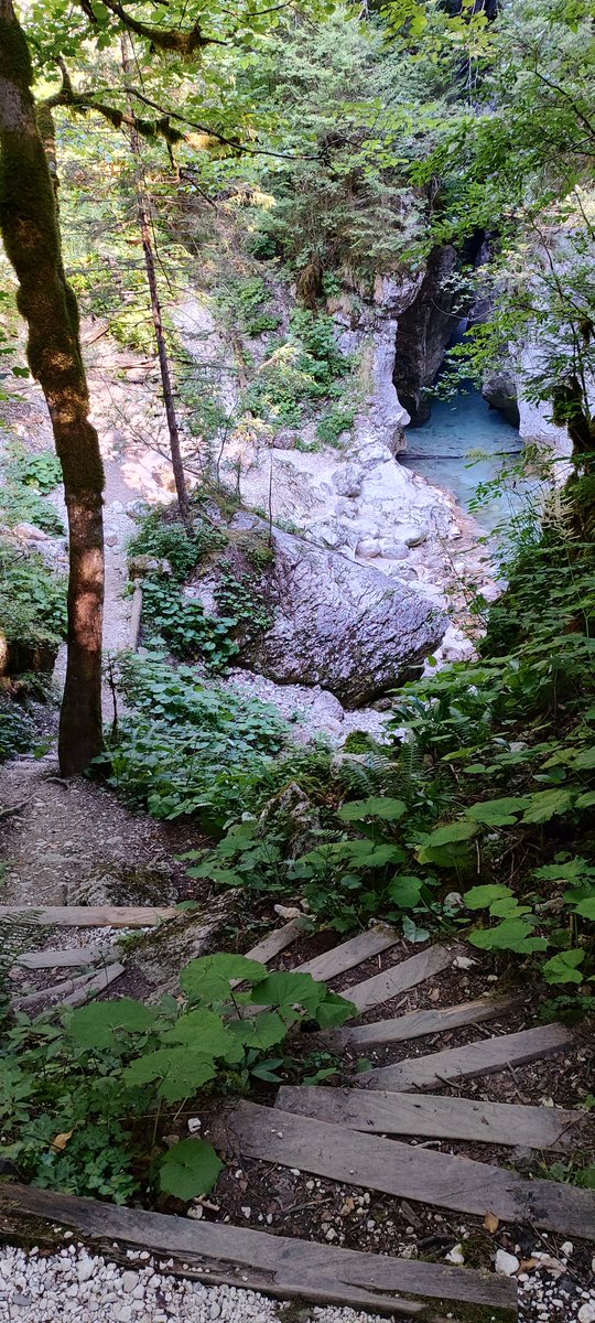 Moj najljubši trail, ko je vroče #kamniškabistrica