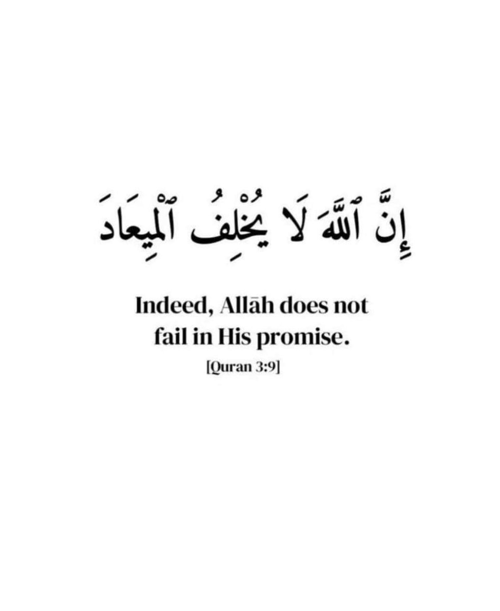 reposts, it will help you🤍🕊️