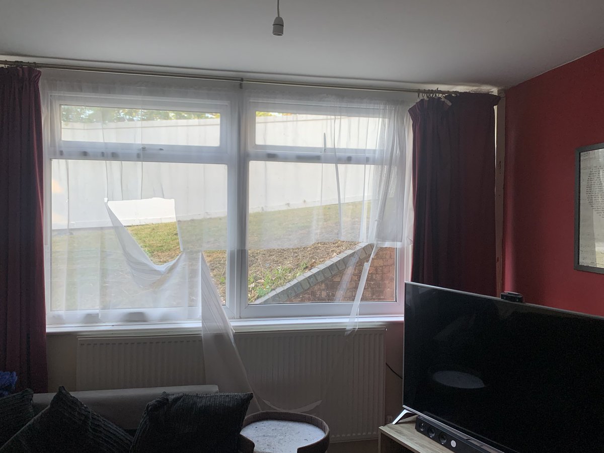 Anyone want a cat 😬