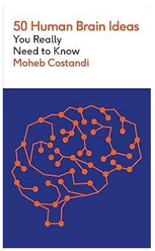 Mo Costandi tweet media