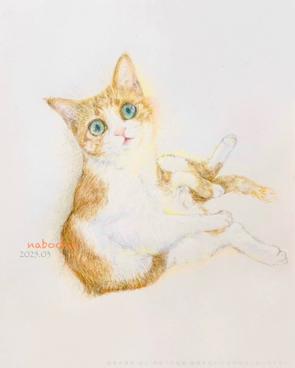 nabochin_2's tweet image. #趣味 #絵 #鉛筆画 #色鉛筆画 #イラスト #動物イラスト #猫イラスト #植物イラスト #ふきのとう #illustration

#2025年自分が選ぶ今年上半期の4枚
4枚に絞るのは難しいけど…これかな。
