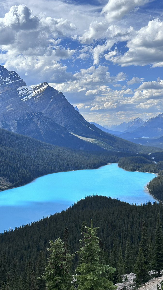 Blown away by this beauty 🤩🥹❤️