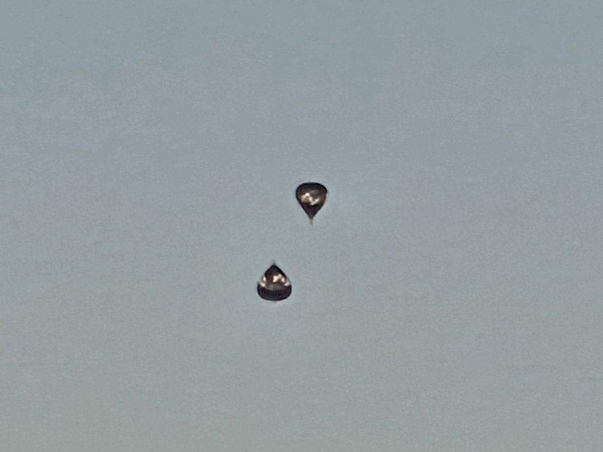 Nevíte někdo, co jsem to viděl? 🤔

Ne, není to AI ani photoshop...