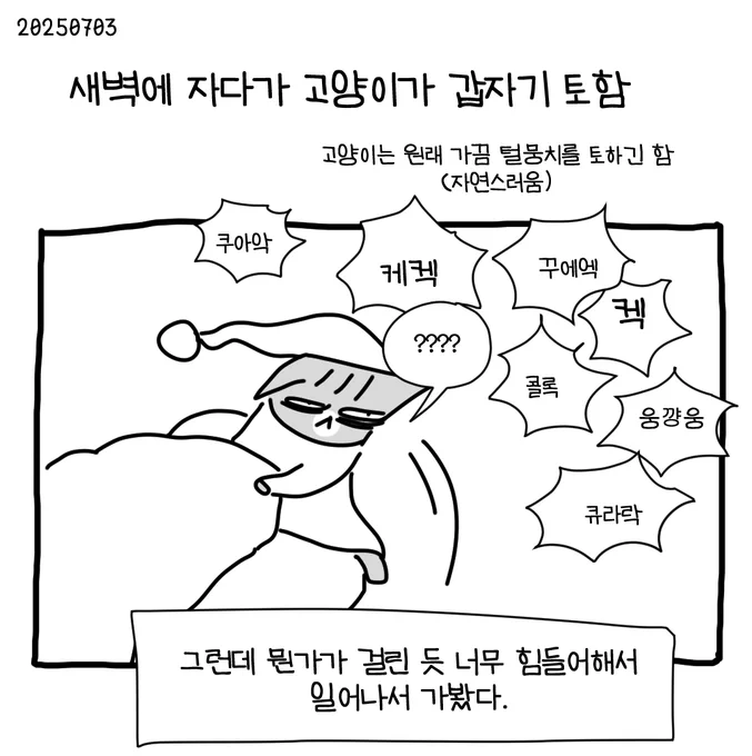 우리집 고양이 새벽에 응급처치받았다 #뚝뚝만화데일리 