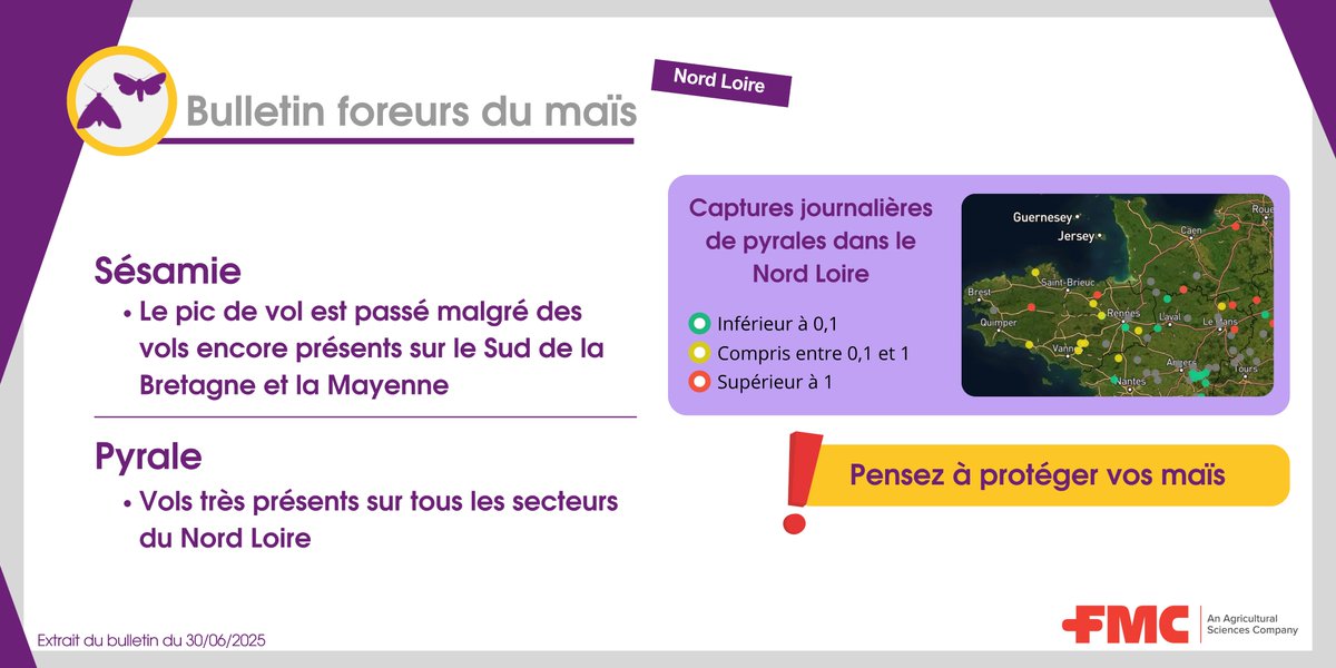 Les foreurs du maïs dans le Nord Loire font des ravages ! 
🐛🌽

Retrouvez les infos de vols en temps réel dans votre région sur l'application Arc farm intelligence 📲