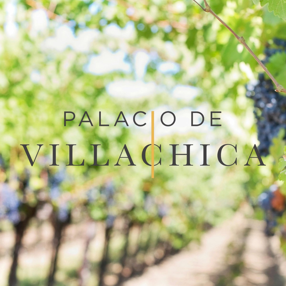 Vitartis's tweet image. 🙋♀️Empezamos el día felices con la incorporación de Palacio de Villachica a #Vitartis. En un entorno privilegiado y con una historia que lo distingue, nació para crear el mejor tempranillo🍇
¡Bienvenidos a la familia! 💕
#sociosVitartis #IndustriaAlimentaria #CastillaYLeon